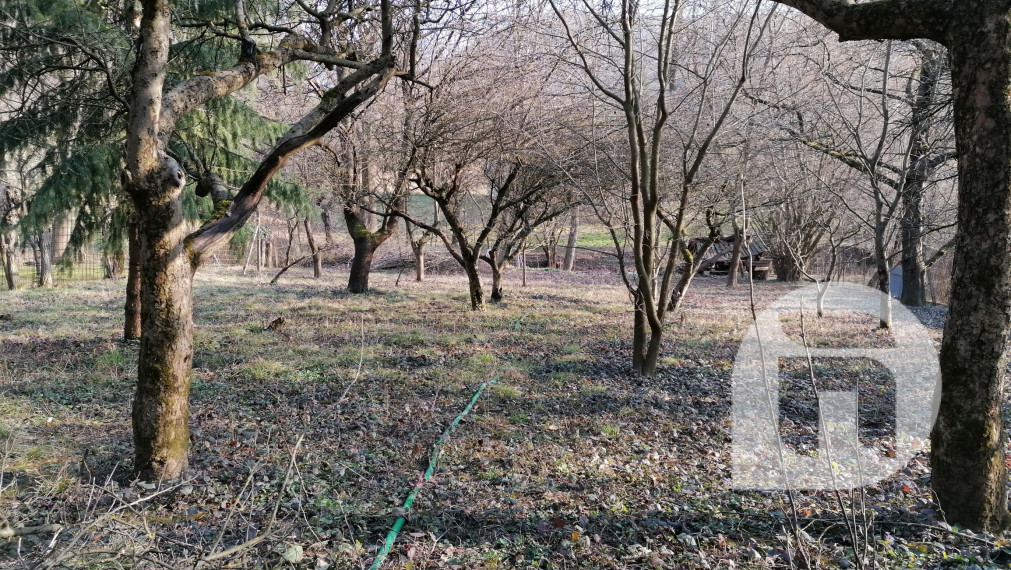 Predaj stavebného pozemku 1583m2 v obci Pernek na Záhorí