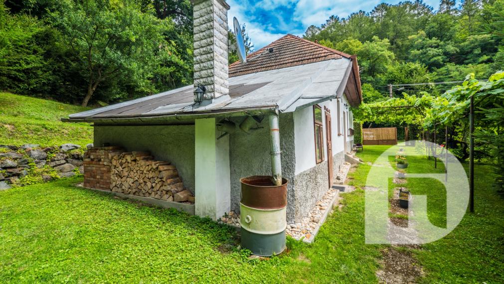 Dom pod lesom s 1 461 m² pozemkom, kde deti majú raj a srnky chodia na dvore