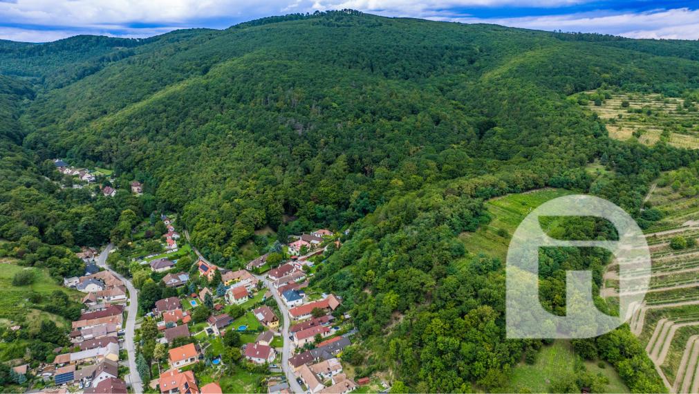 Dom pod lesom s 1 461 m² pozemkom, kde deti majú raj a srnky chodia na dvore