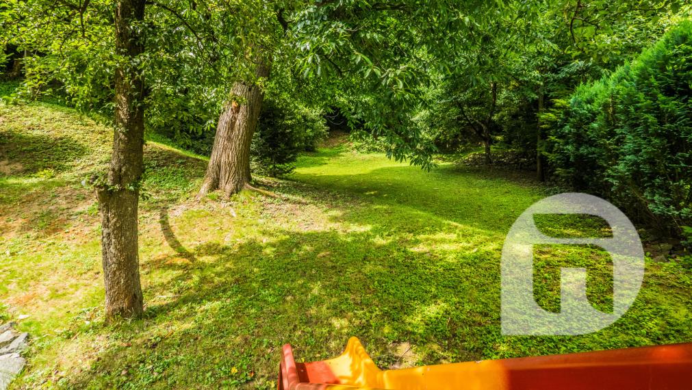 Dom pod lesom s 1 461 m² pozemkom, kde deti majú raj a srnky chodia na dvore