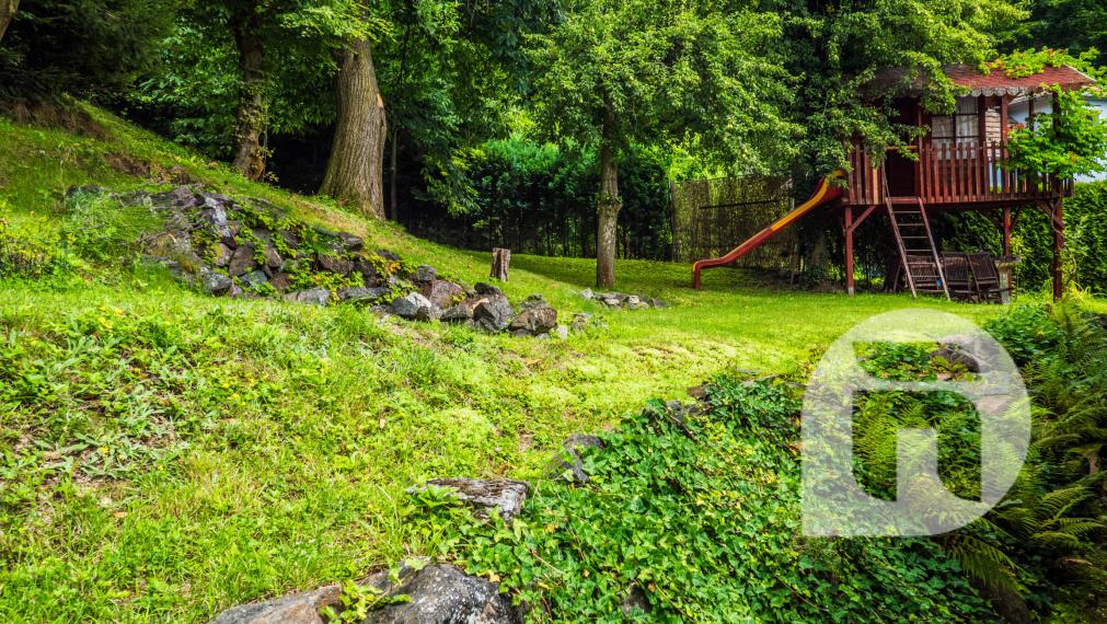 Dom pod lesom s 1 461 m² pozemkom, kde deti majú raj a srnky chodia na dvore