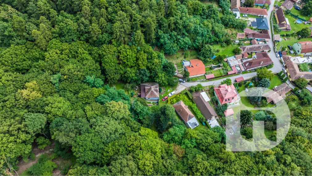 Dom pod lesom s 1 461 m² pozemkom, kde deti majú raj a srnky chodia na dvore