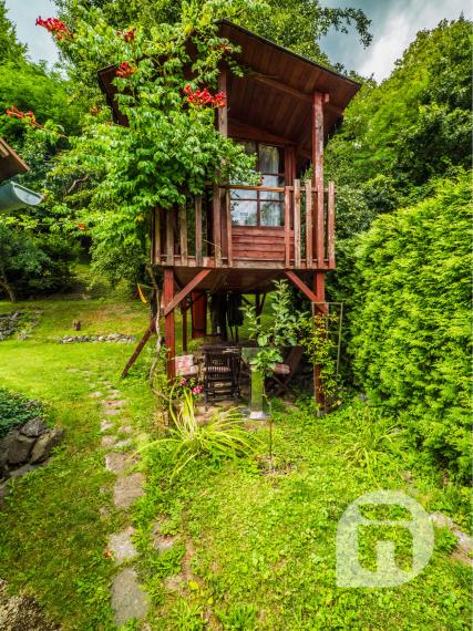 Dom pod lesom s 1 461 m² pozemkom, kde deti majú raj a srnky chodia na dvore