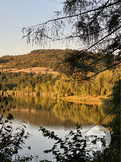 Nová cena - Predaj 4 izbový rodinný dom s pozemkom 2906 m2 v Kuchyni