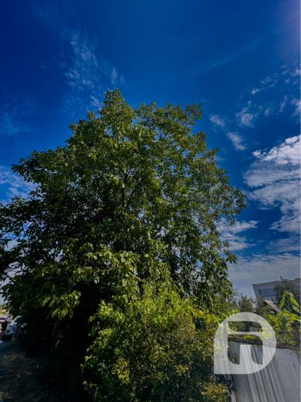 Exkluzívne - Chata so záhradou s dobrou dostupnosťou