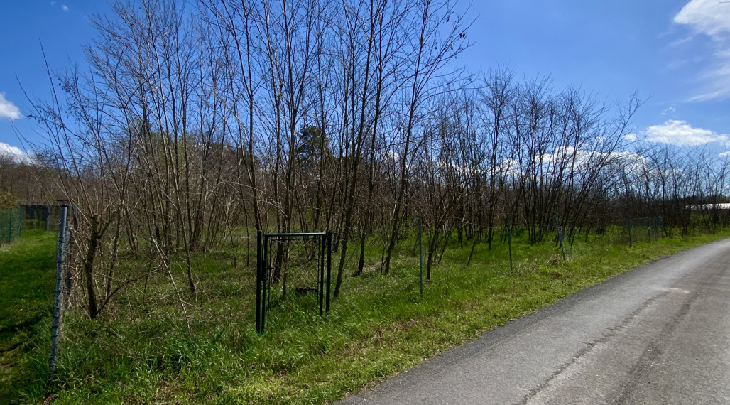 Na predaj pozemok v lokalite Devínske Jazero - Bratislava