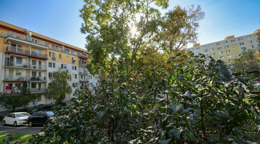 Hľadá sa 2 izbový byt v Ružinove pre našu klientku