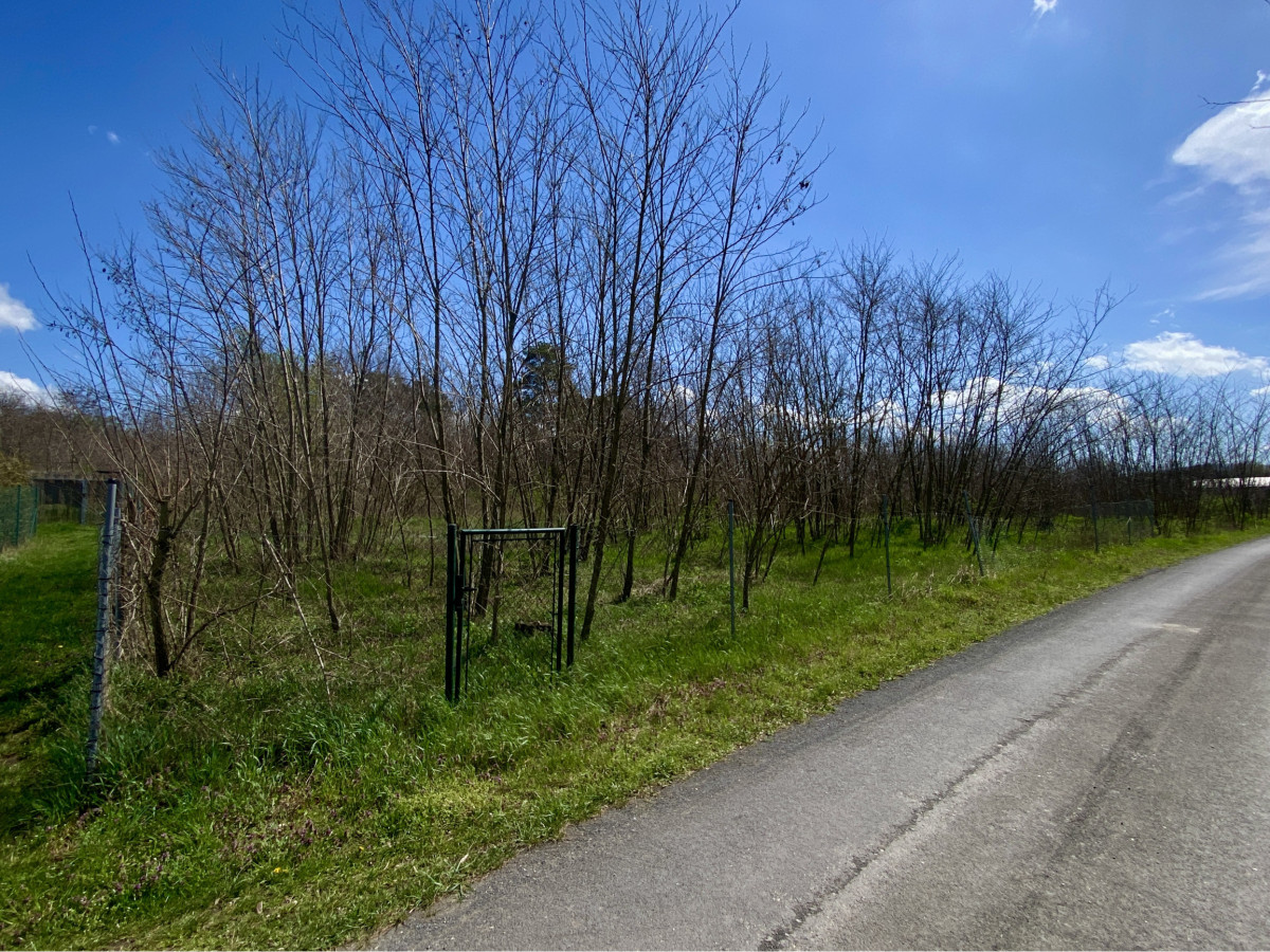 Na predaj pozemok v lokalite Devínske Jazero - Bratislava