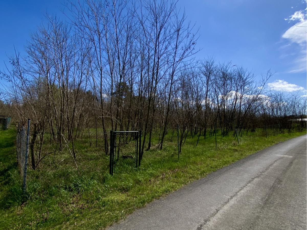 Fotografia nehnuteľnosti 7