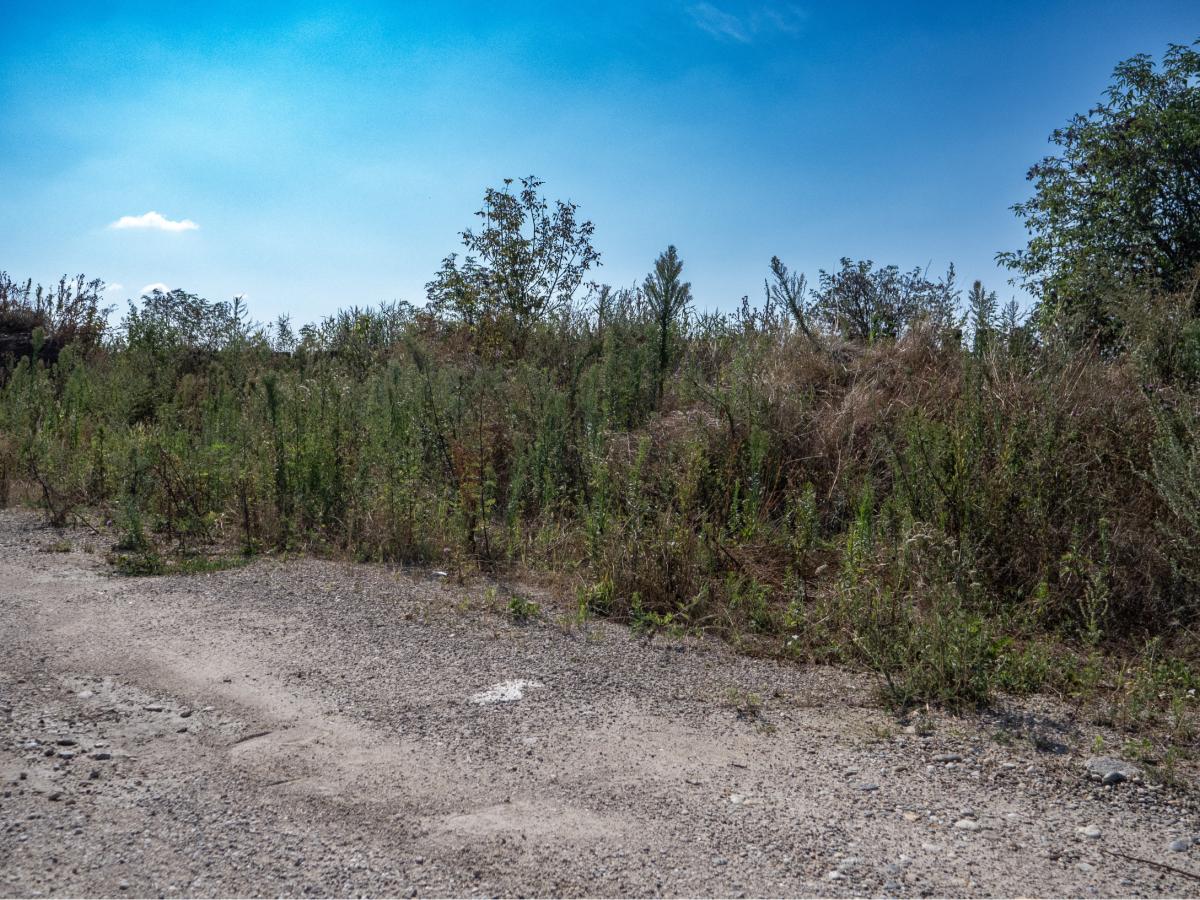 Fotografia nehnuteľnosti 7