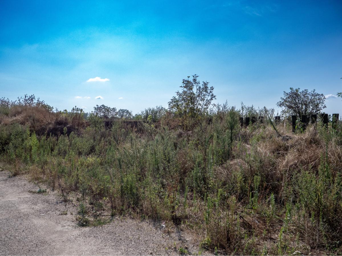 Fotografia nehnuteľnosti 8