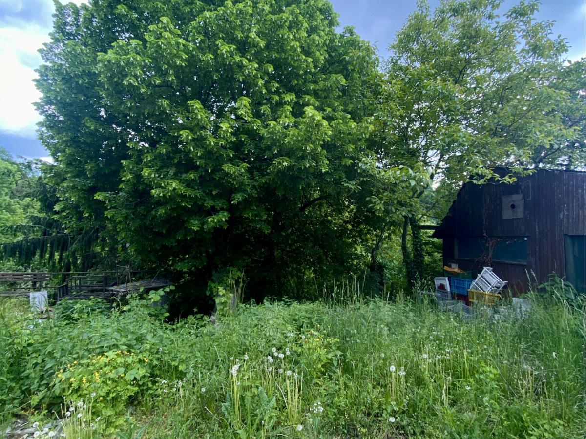 Fotografia nehnuteľnosti 9