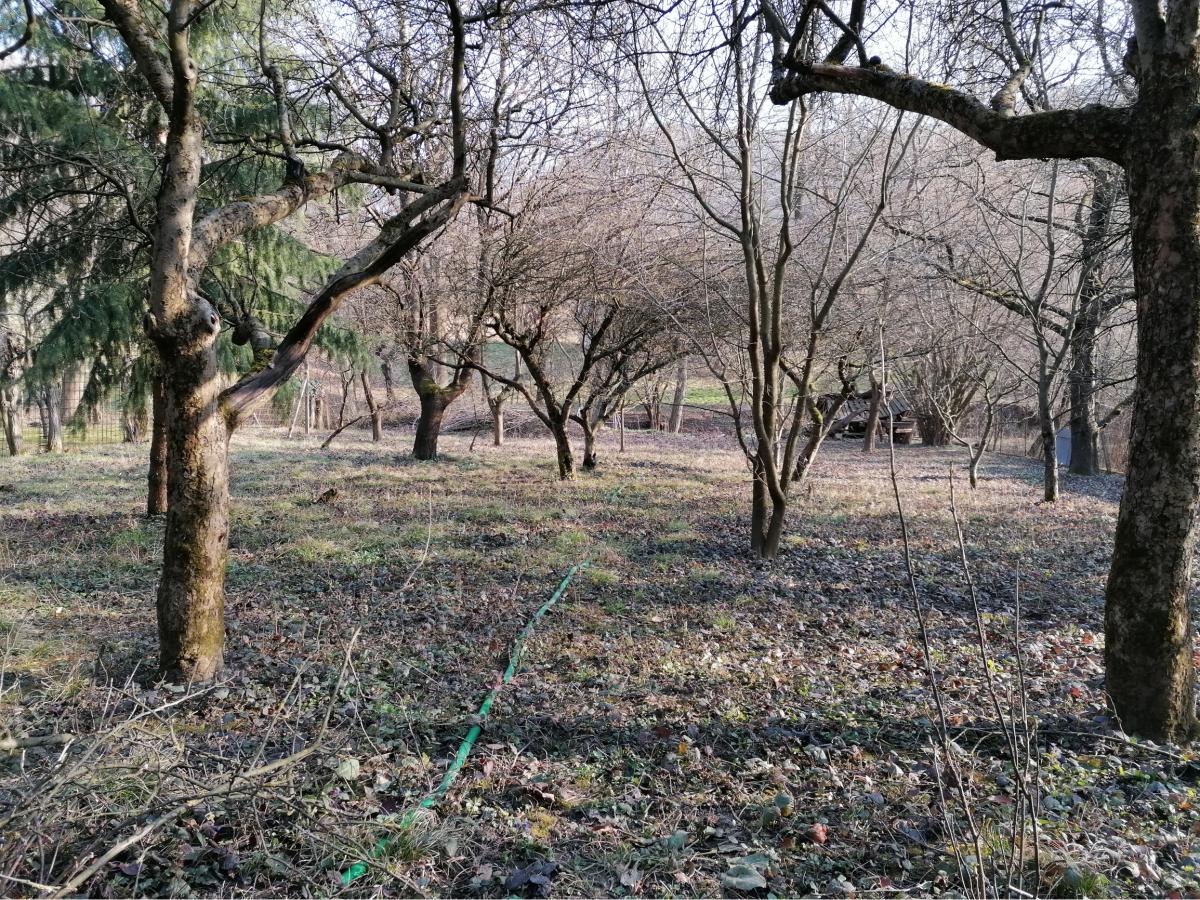 Fotografia nehnuteľnosti 21