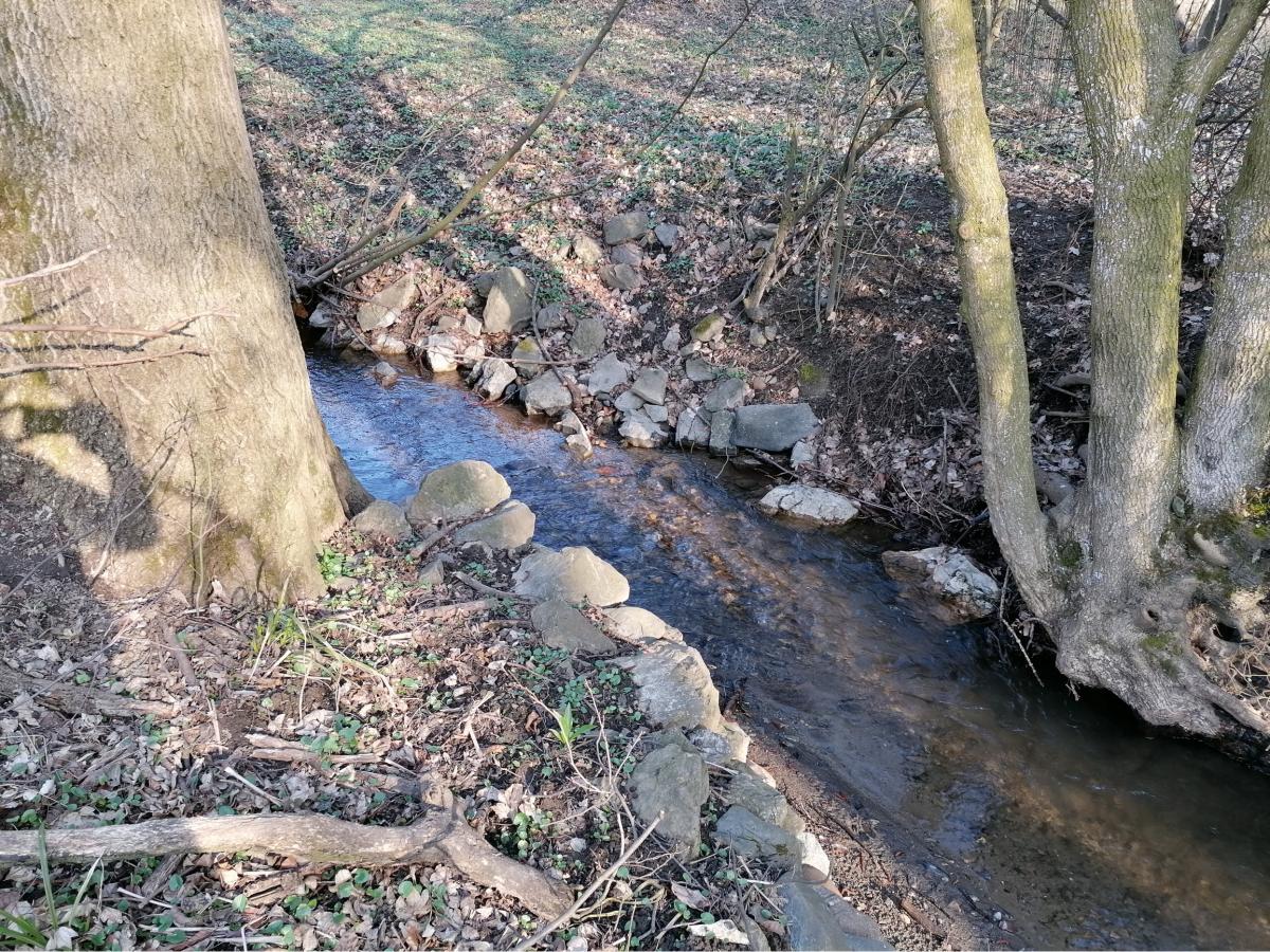 Fotografia nehnuteľnosti 23