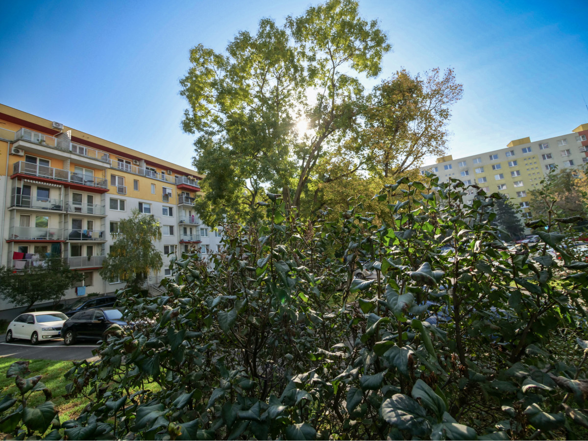 Hľadá sa 2 izbový byt v Ružinove pre našu klientku