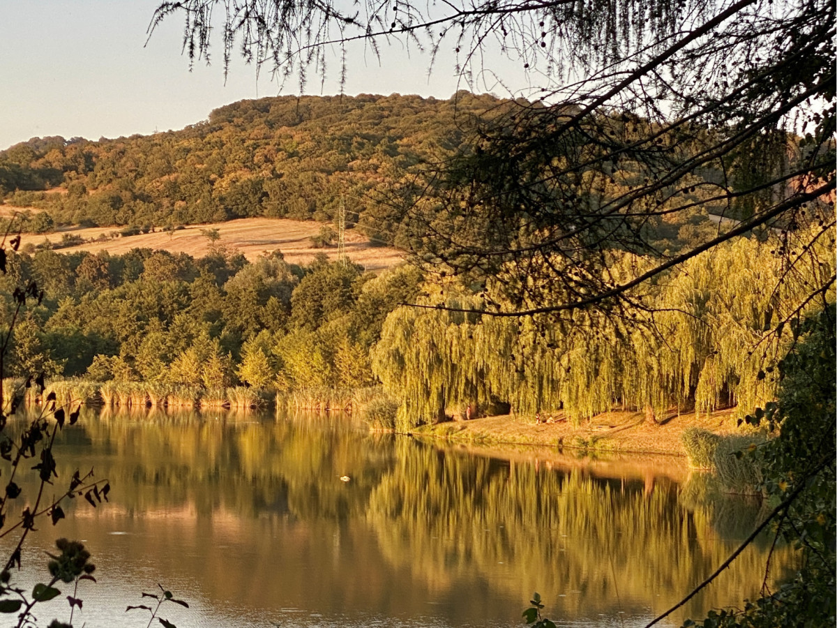 Fotografia nehnuteľnosti 25