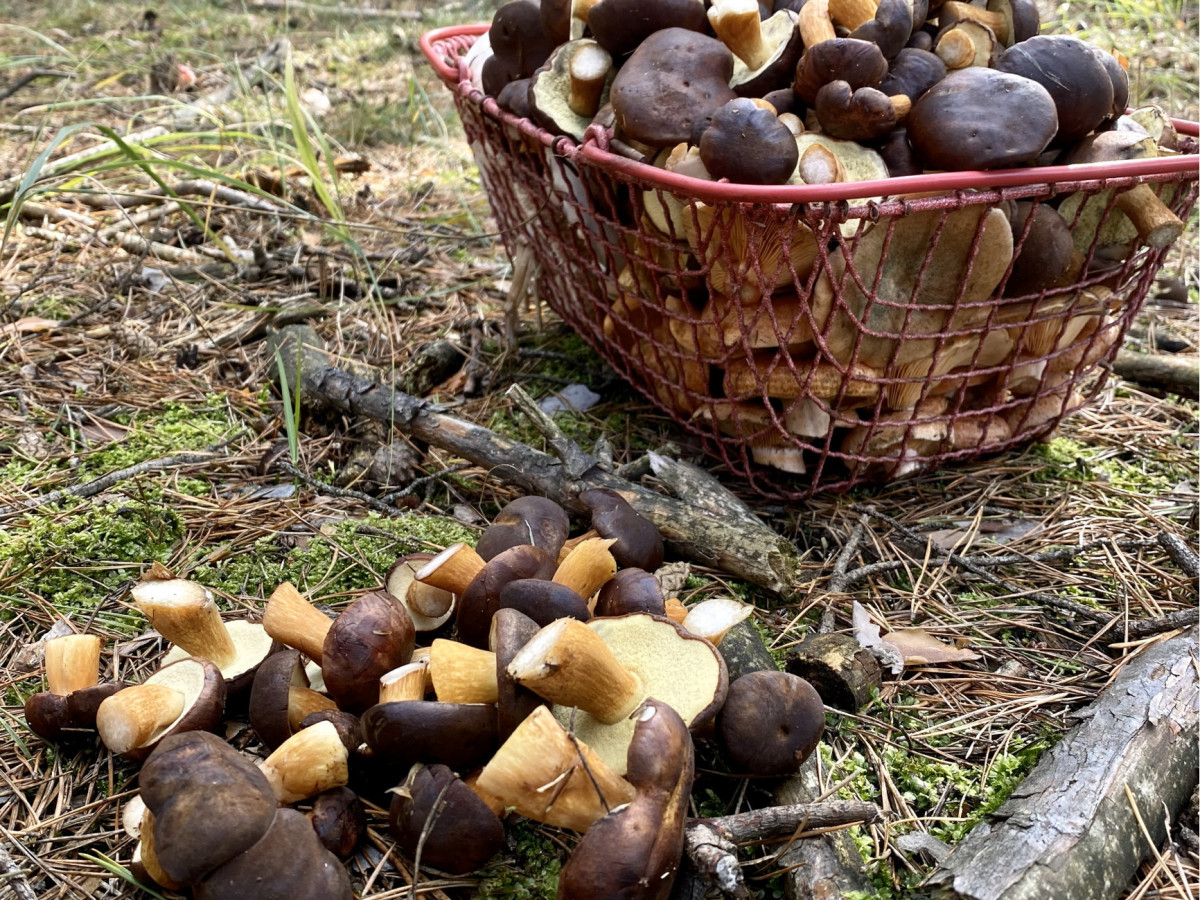 Fotografia nehnuteľnosti 28