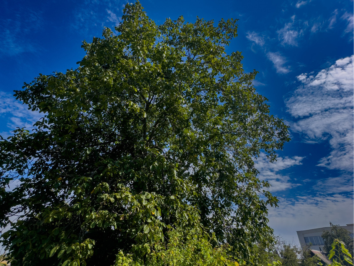 Fotografia nehnuteľnosti 10