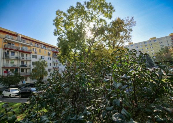 Hľadá sa 2 izbový byt v Ružinove pre našu klientku