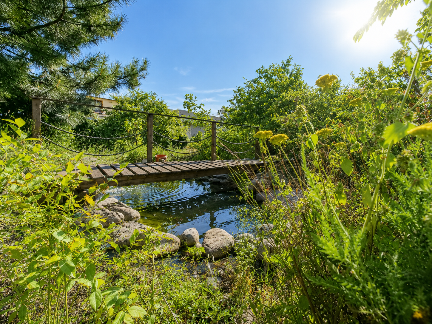 Rodinný dom Pezinok-Grinava – pozemok 1 432 m², jazierko 2