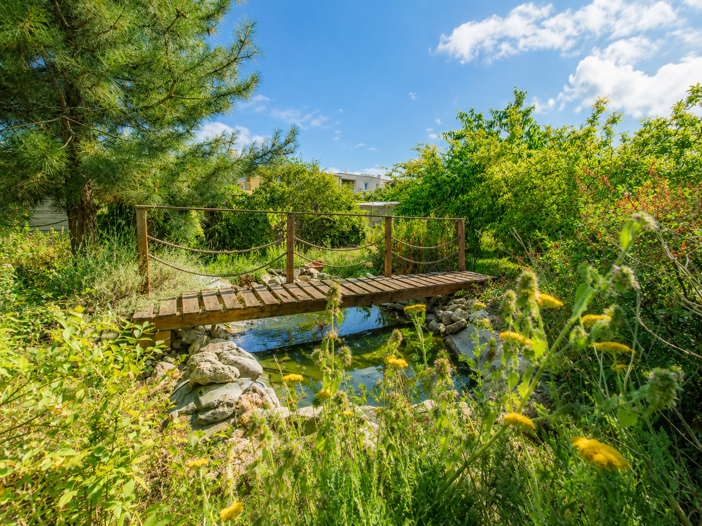 Rodinný dom Pezinok-Grinava – pozemok 1 432 m², jazierko 3